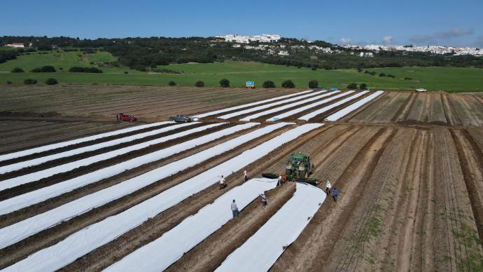 imagen-galeria-colocacion-1