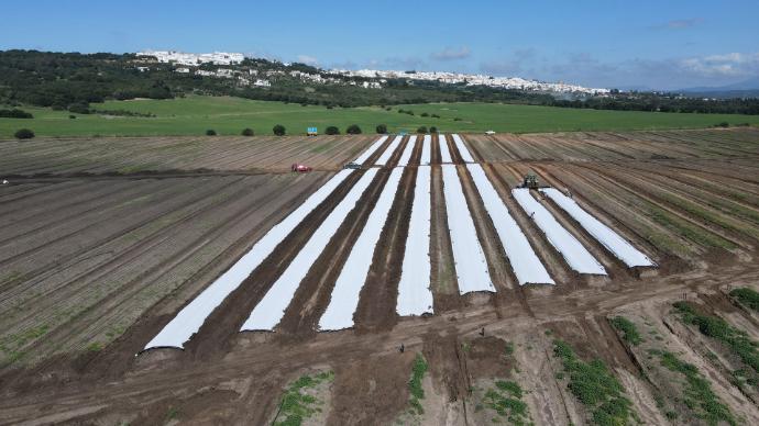 imagen-galeria-colocacion-4