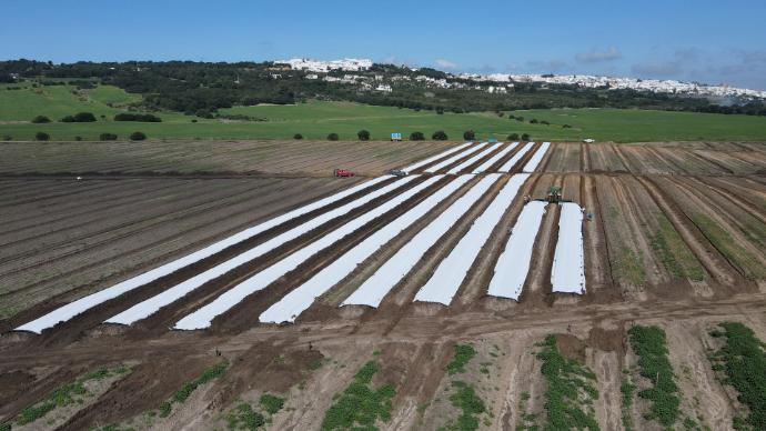 imagen-galeria-colocacion-2