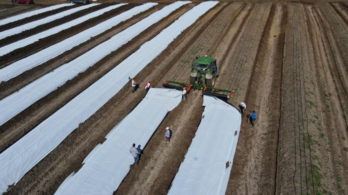 imagen-galeria-colocacion-5