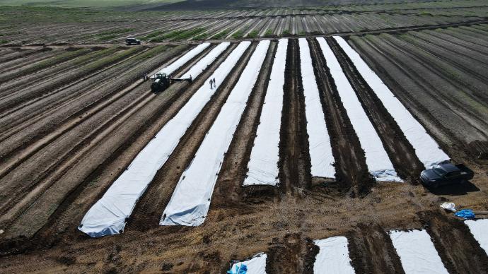 imagen-galeria-colocacion-3